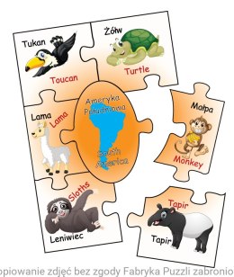 Animali del mondo - Piccolo puzzle intelligente