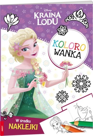 LIBRO DI PITTURA A4 FROZEN NAKL AM