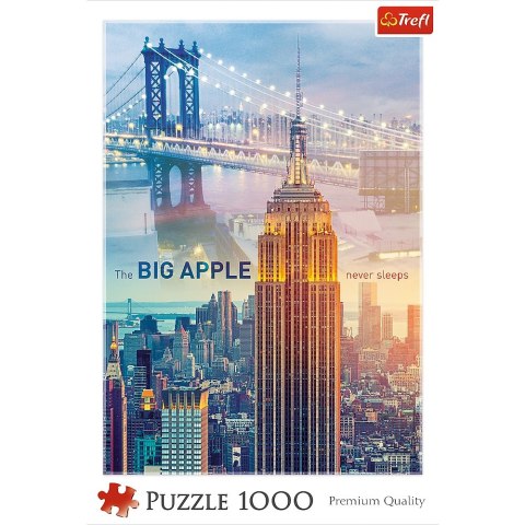 PUZZLE 1000 ELEMENTÓW NOWY JORK O ŚWIECIE TREFL 10393 TR