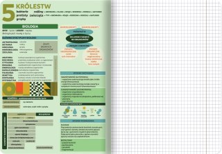 ZESZYT BIOLOGIA ZE ŚCIĄGAMI TOP 2000, A5 60 KARTEK W KRATKĘ HAMELIN