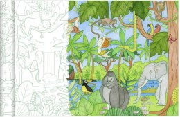 Libro da colorare su rotolo Graffy Roll Jungle 5 mx 35 cm