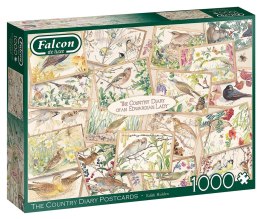 Puzzle da 1000 pezzi FALCON Cartoline con uccelli