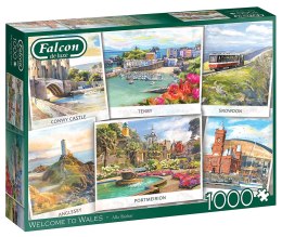 Puzzle da 1000 pezzi FALCON Galles