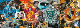 Le quattro case di Hogwarts - Puzzle