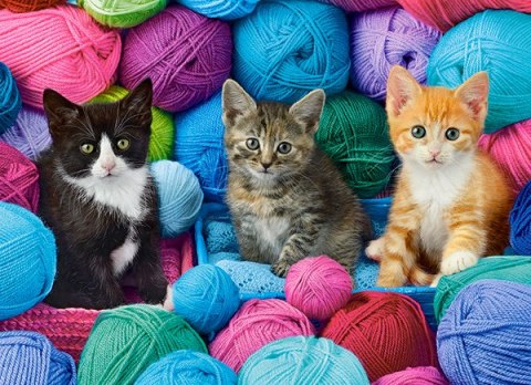 PUZZLE 300 ELEMENTÓW KITTENS IN YARN STORE CASTORLAND B-030477 CASTOR