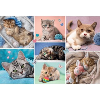 PUZZLE 100 ELEMENTI NEL MONDO DEL GATTO TREFL 16420