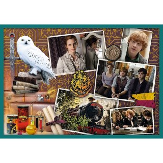 PUZZLE 10IN1 NEL MONDO DI HARRY POTTER TREFL 90392 TR