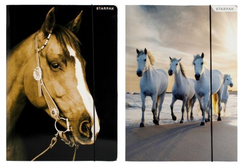 TECZKA Z GUMKĄ A4 HORSES STARPAK 298952