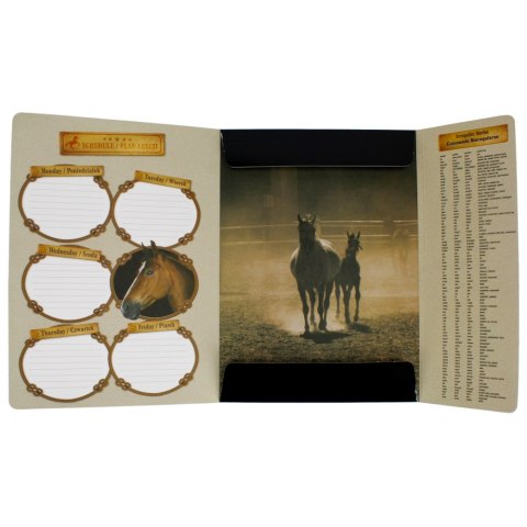 TECZKA Z GUMKĄ A4 HORSES STARPAK 298952