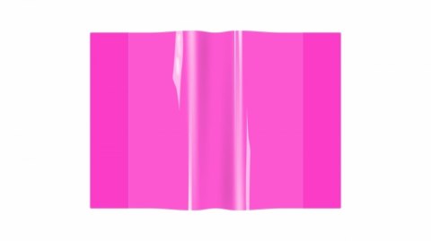 Copertina quaderno A5 ROSA NEON BIURFOL OZN-A5-01 BIURFOL