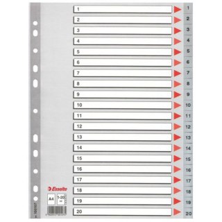 INSERIMENTO A4 PP 1-20 NUMERICO, ESSELTE 100107 ESSELTE