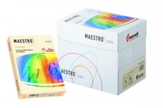 PPAIER XERO A4 160 G MAESTRO ARANCIO IGEPA 941OR43A16 IGEPA