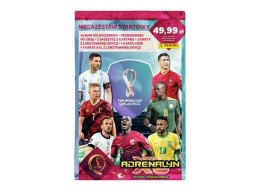 CARD ALBUM FIFA WORLD CUP QATAR 2022 CARTE ZB-147038 PANDA
